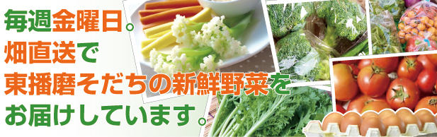東播磨（加古川・稲美・明石）産新鮮野菜の配達・宅配