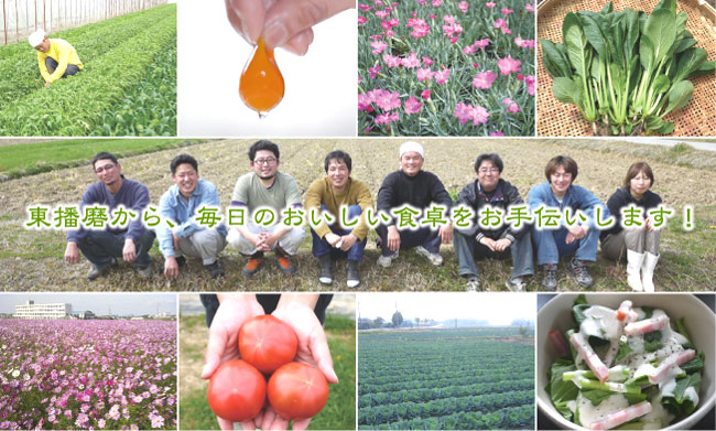 東播磨おくどさんセット(兵庫県東播磨より旬の野菜を詰め合せた野菜セット)